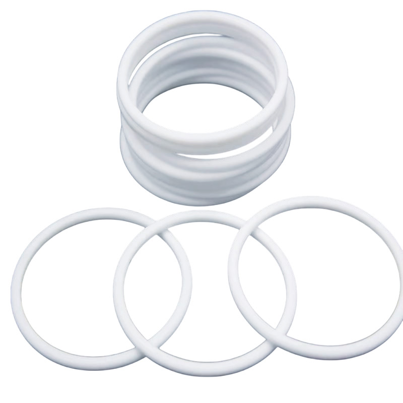 PTFE O-Rings