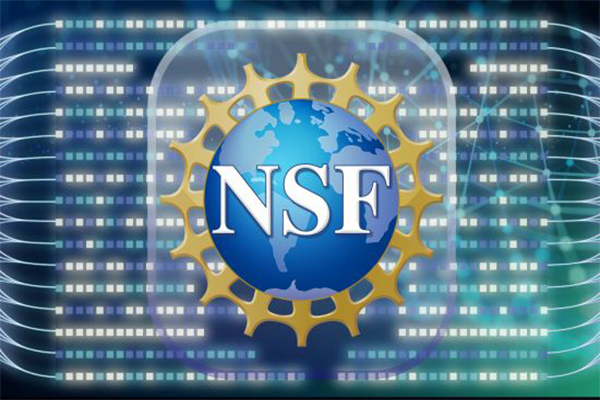 NSF Certification: The Ultimate Guarantee for Water Purifier Safety? Critical Seals Matter Too!